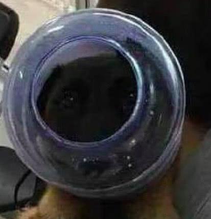 🍌视频 保护个人隐私与安全