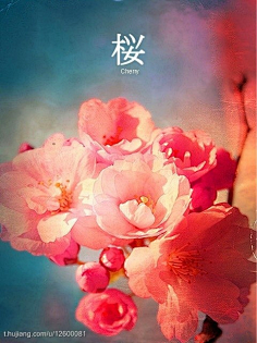 优优定制剧情 我非常乐意为你提供帮助