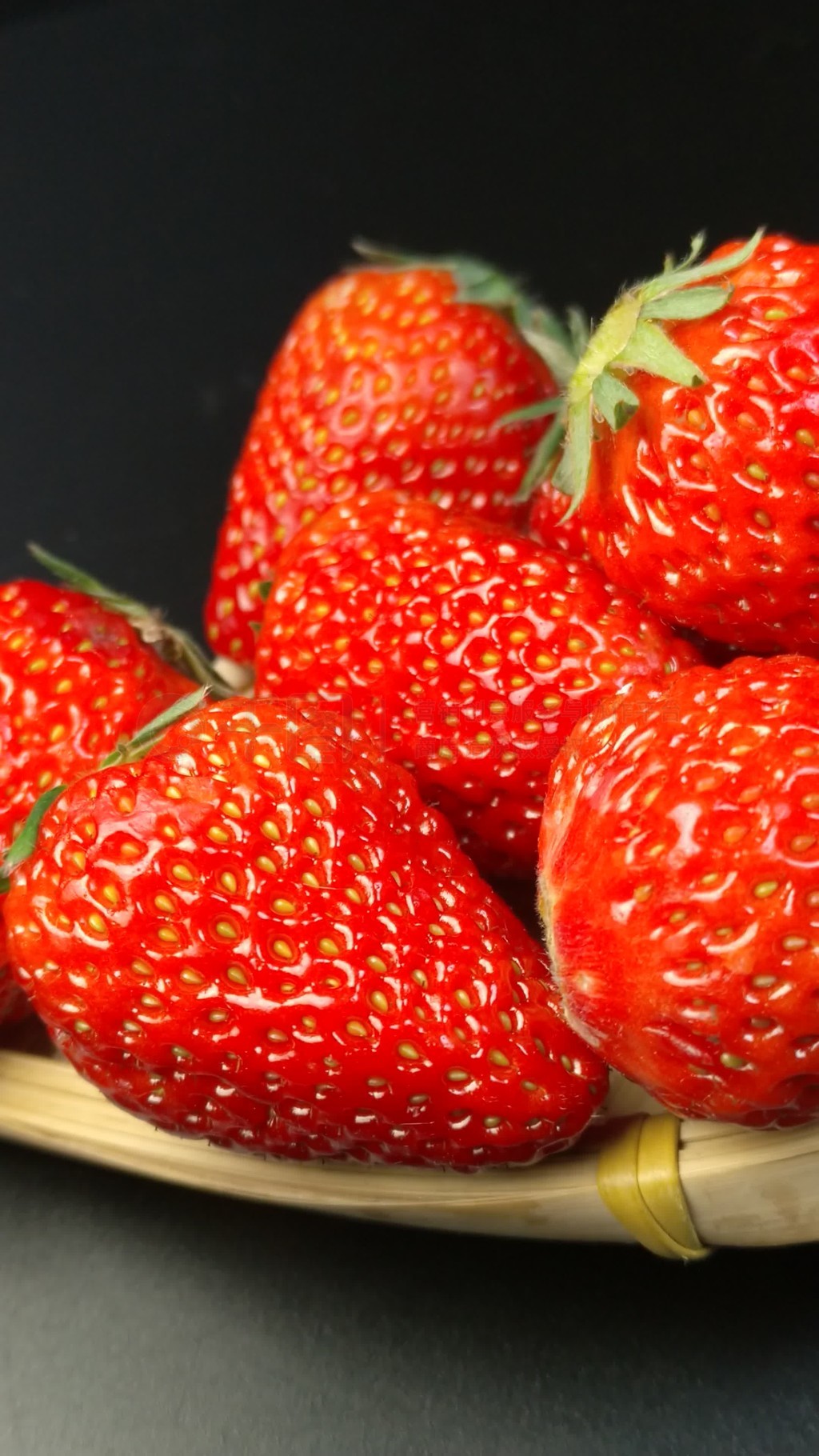 情人梁朝辉在线观看