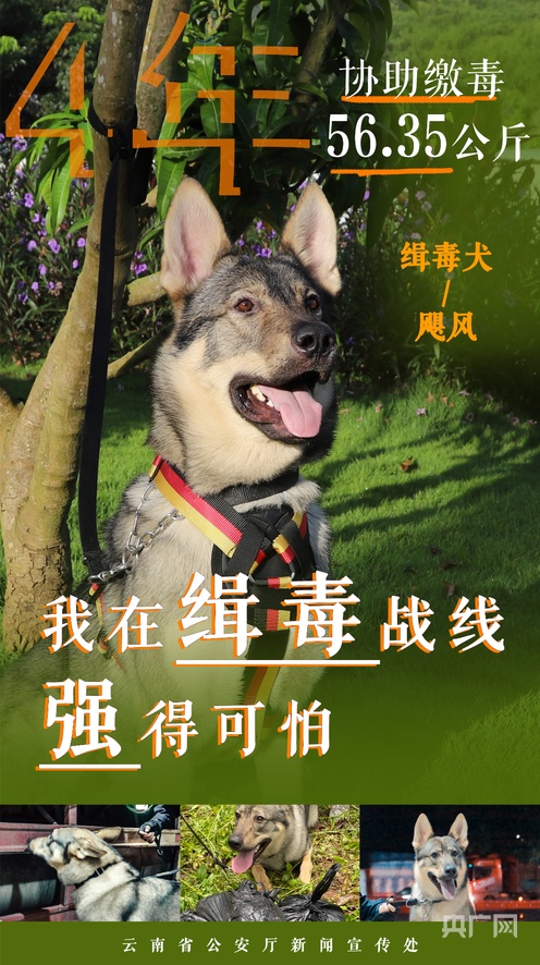 世界稀有重口视频 提升审美情趣为目的世界视频