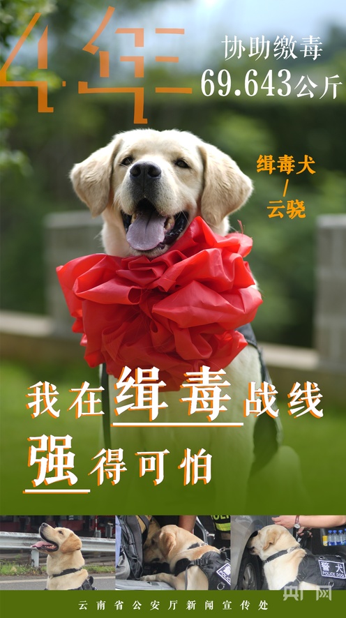 世界稀有重口视频 提升审美情趣为目的世界视频