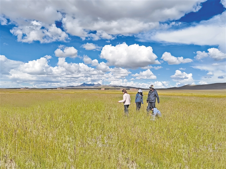 看料-美好生活回家路 生活产品特性：智能匹配