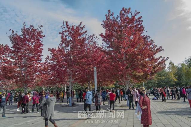 51吃瓜反差 话题性和互动性为核心定位