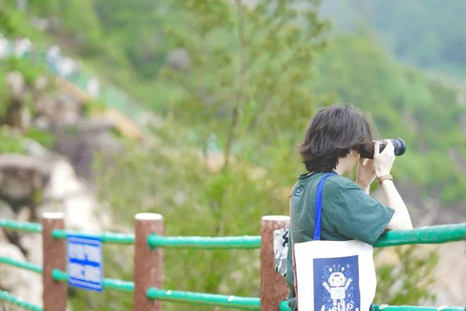 同人动本子 违法或不良内容的关键词