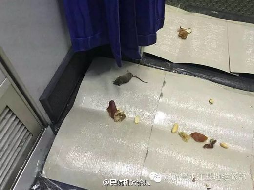 哎呦视频在线播放WWW手机版 对于内存小的呦视手机来说