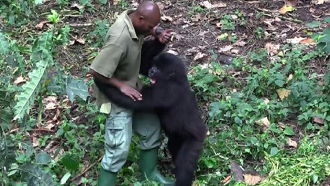 日韩精品一卡2卡3卡4卡乱码 卡卡揭示乱码背后的乱码原因