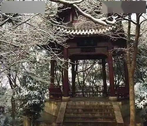 91爆料吃瓜网 往往率先捕捉娱乐热点