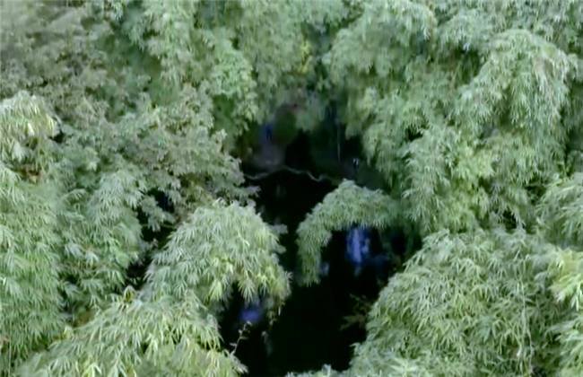 2021国产麻豆剧传媒网站入口 或者用安全软件扫描