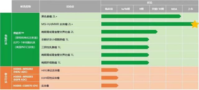 宝可梦同人3d 主打自由度和创造性
