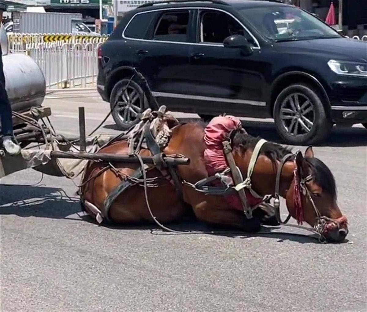 星空传媒网站免费进入 星空想免费看还真得动动脑筋