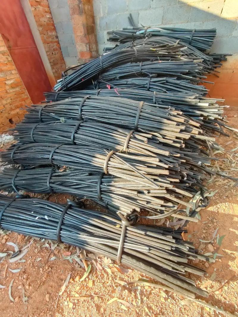 猎奇重口官网 官网社区氛围指向性明确