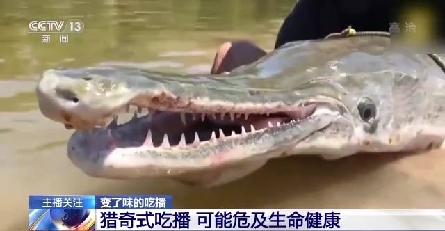 蜜桃+视 频 mogu tv 视频如果你有其他问题