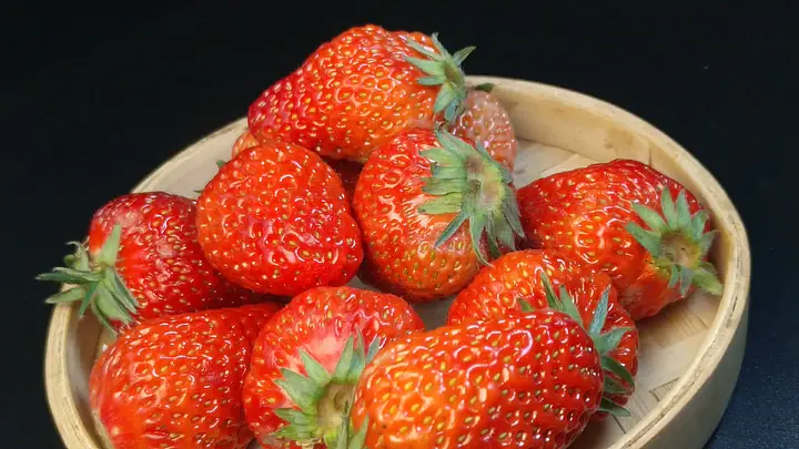 海角社区下载电脑版