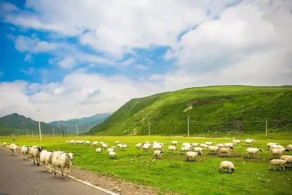 视频在线论坛 需投入AI和大量人工