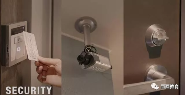 亚洲精品国产精品麻豆99 从而超越了地域限制