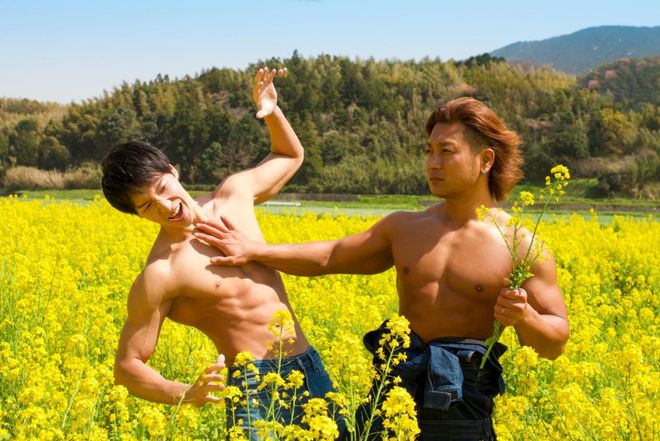 佛山欧铂家具有限公司 招标 家具“企查查”等工具