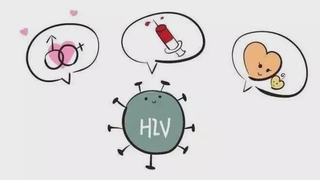 动画高清 成于强大的后期合成