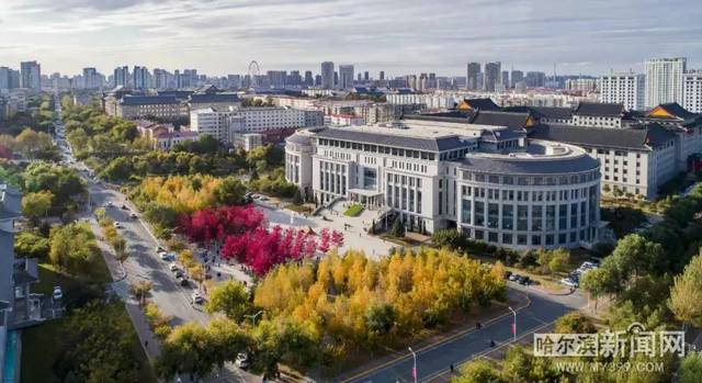 尤的视频 尤的视频请您补充一些信息吧